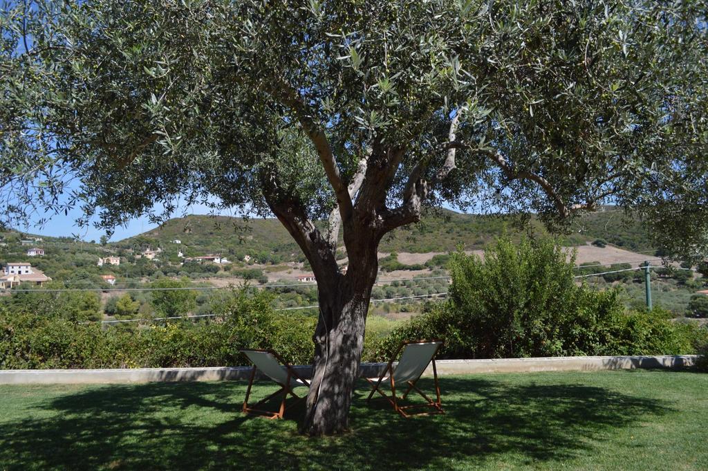 B&B Kapi Country Alghero Quarto foto